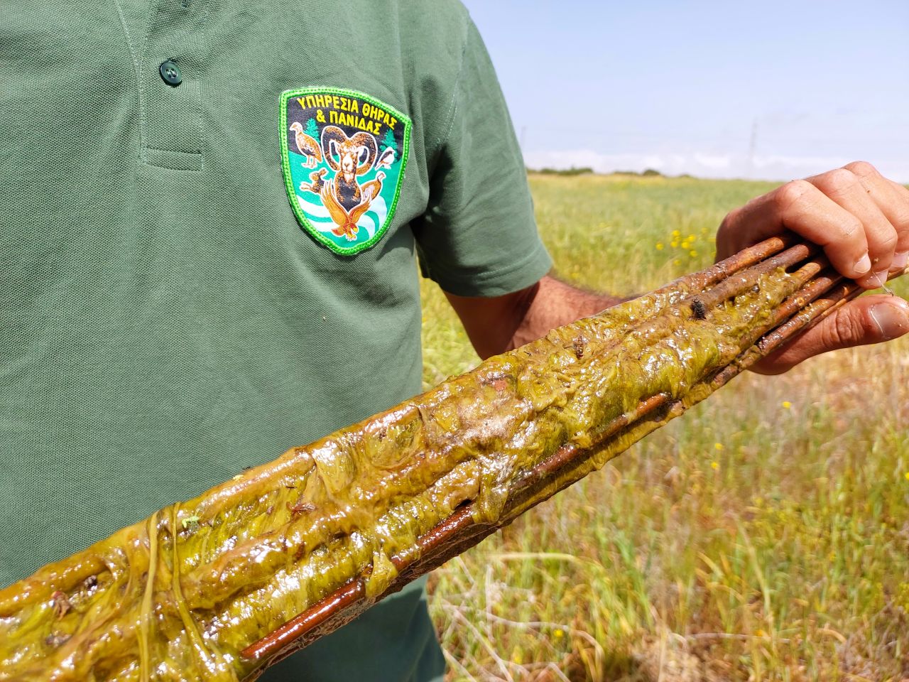 A success story in the protection of migratory birds on Cyprus, thanks to the tireless  - Bild 3